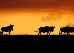 爱游戏APP-关键时刻马赛调整名单以备欧篮联莱比锡手感冰凉备战西甲，媒体一致点评：浙江稠州冲刺阶段单刀错失